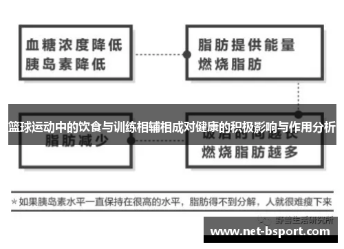 篮球运动中的饮食与训练相辅相成对健康的积极影响与作用分析