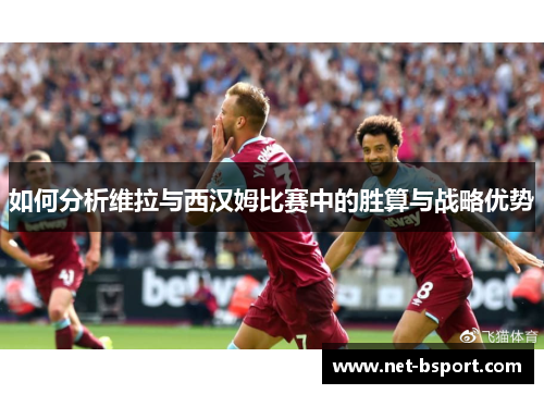 如何分析维拉与西汉姆比赛中的胜算与战略优势