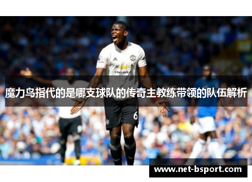 魔力鸟指代的是哪支球队的传奇主教练带领的队伍解析