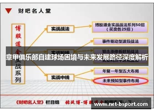 意甲俱乐部自建球场困境与未来发展路径深度解析