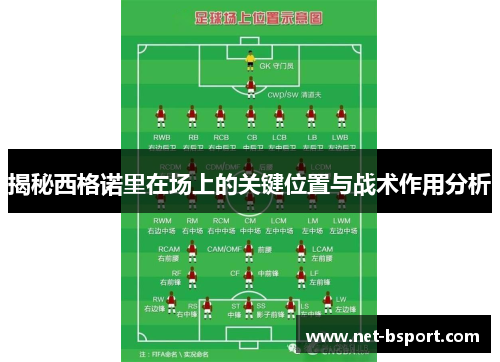 揭秘西格诺里在场上的关键位置与战术作用分析 揭秘西格诺里在场上的关键位置与战术作用分析