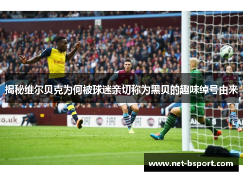 揭秘维尔贝克为何被球迷亲切称为黑贝的趣味绰号由来 揭秘维尔贝克为何被球迷亲切称为黑贝的趣味绰号由来